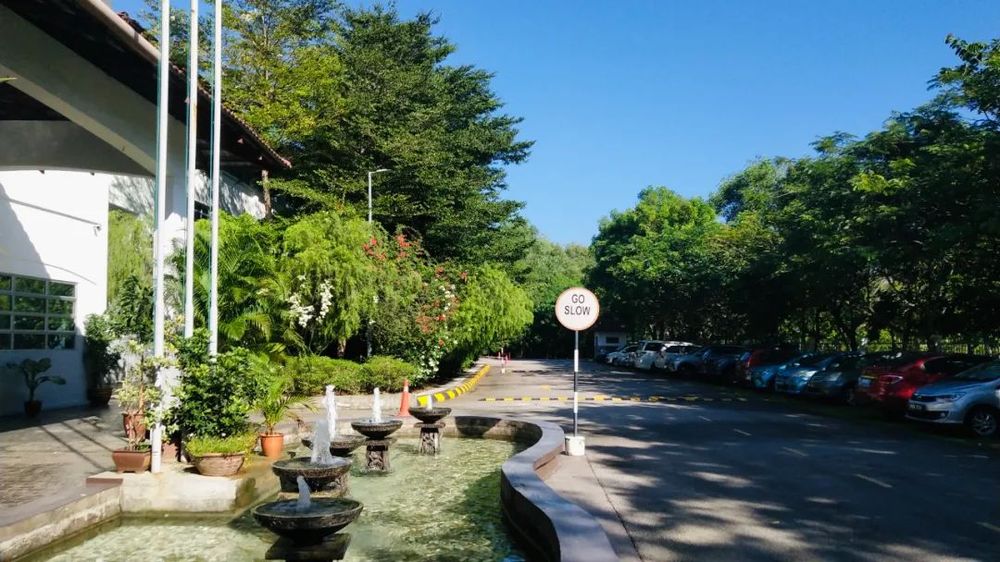 elc国际学校 校园图片 3
