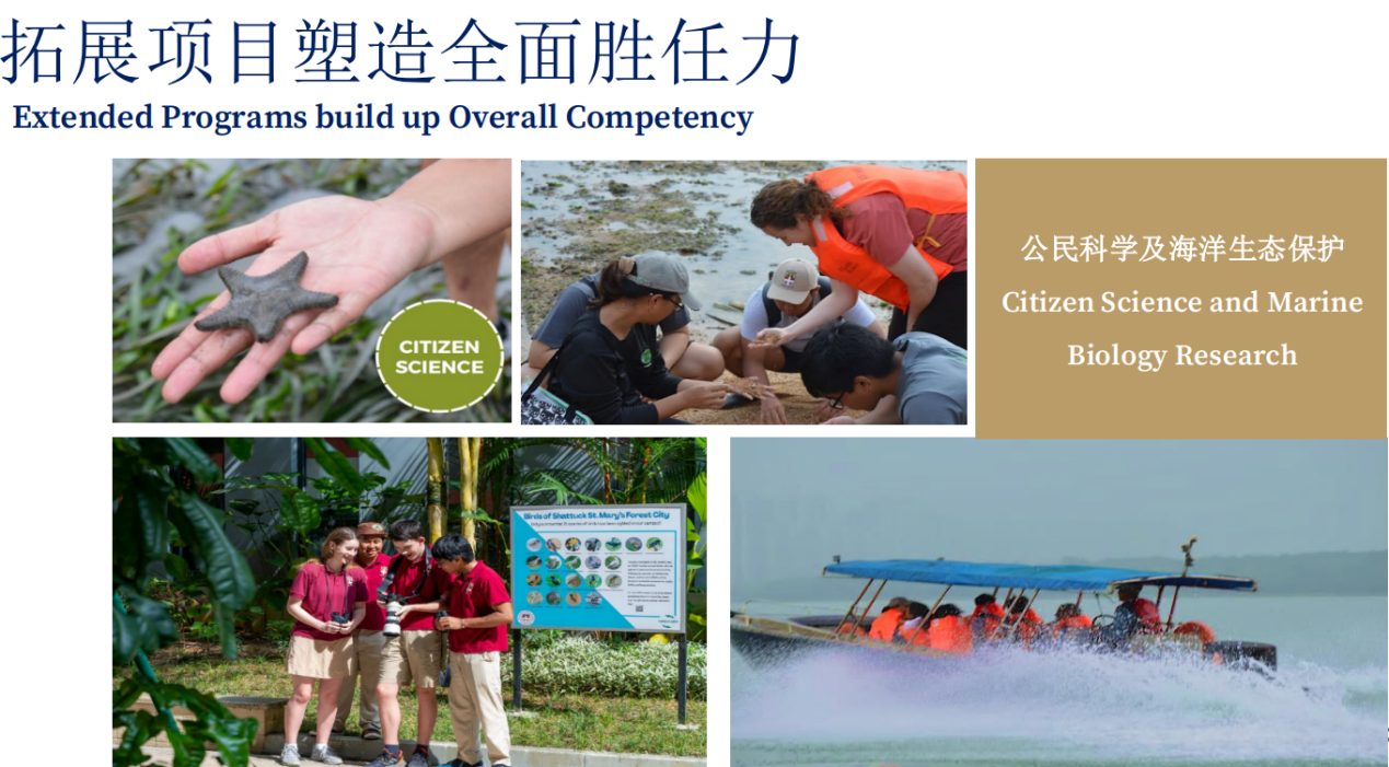 森林城市国际学校