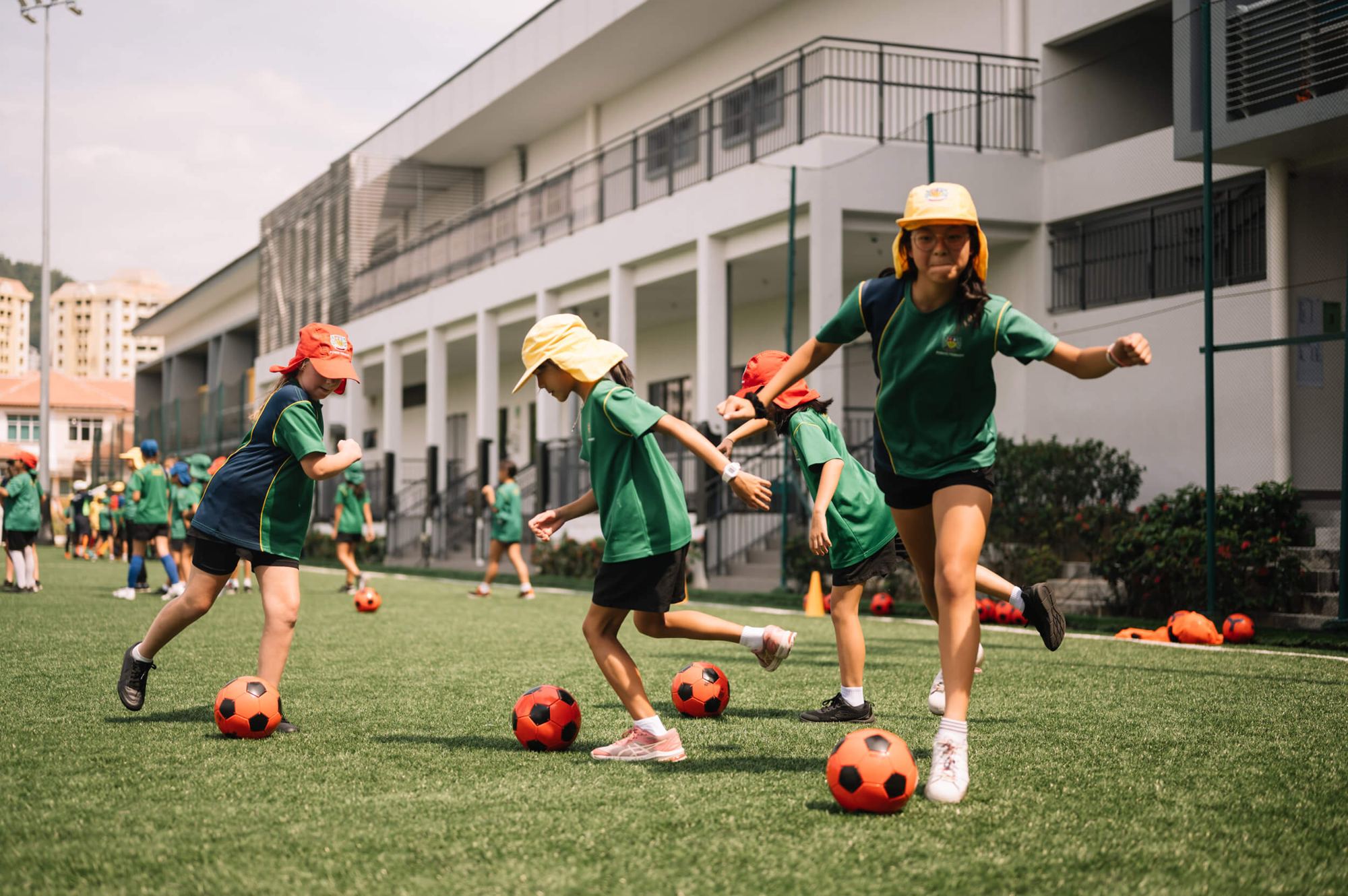 Prince of Wales Island International School