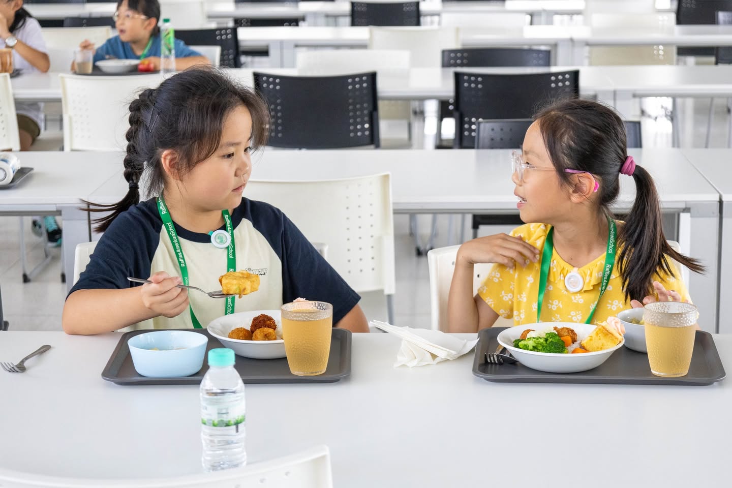 Raffles American School