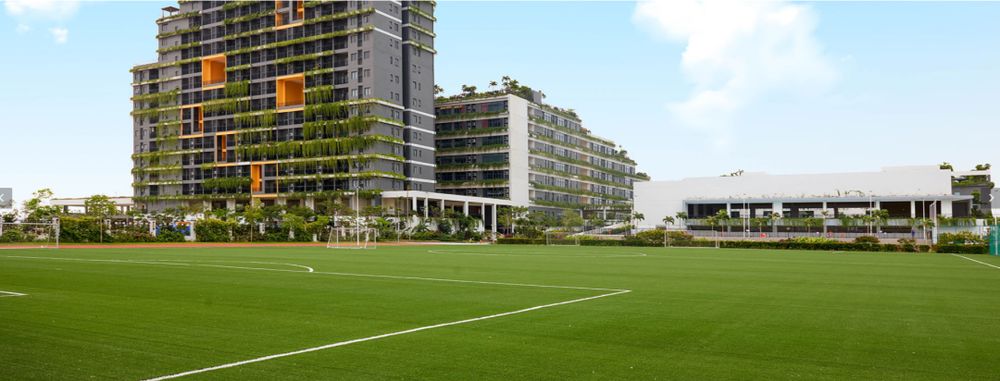 嘉德圣玛丽森林城市学校 校园图片 2