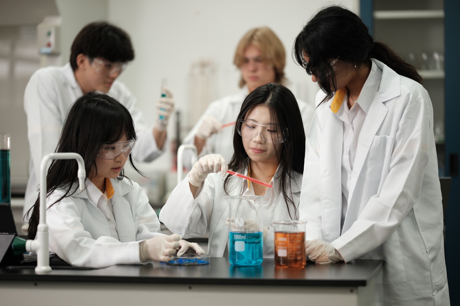 双威国际学校柔佛校区