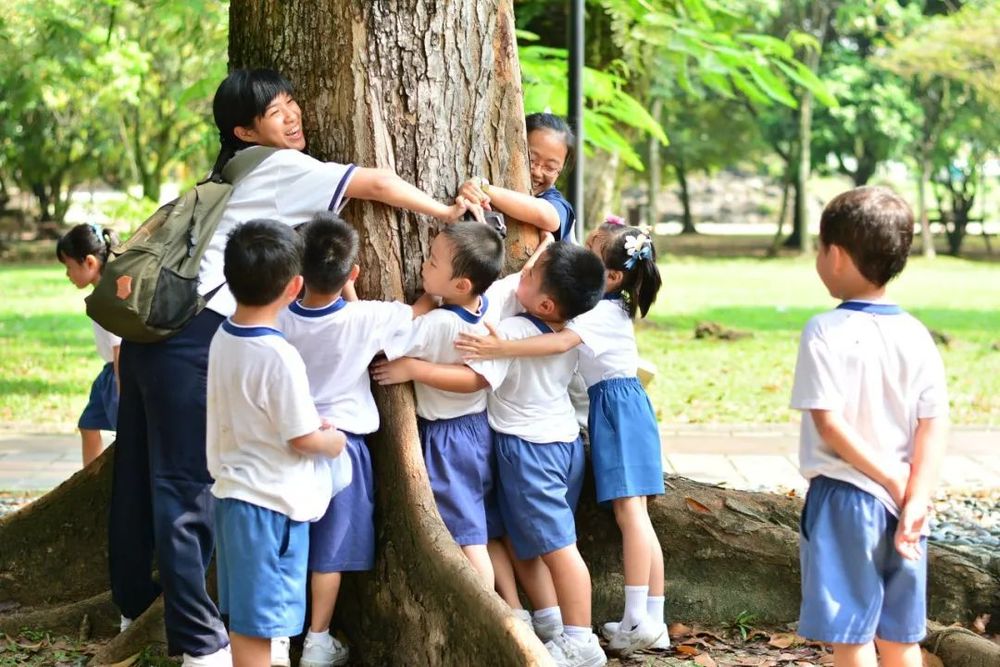 慈济国际学校 校园图片 3