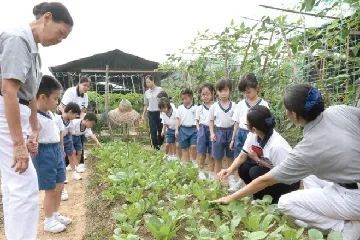 慈济国际学校 校园图片 1