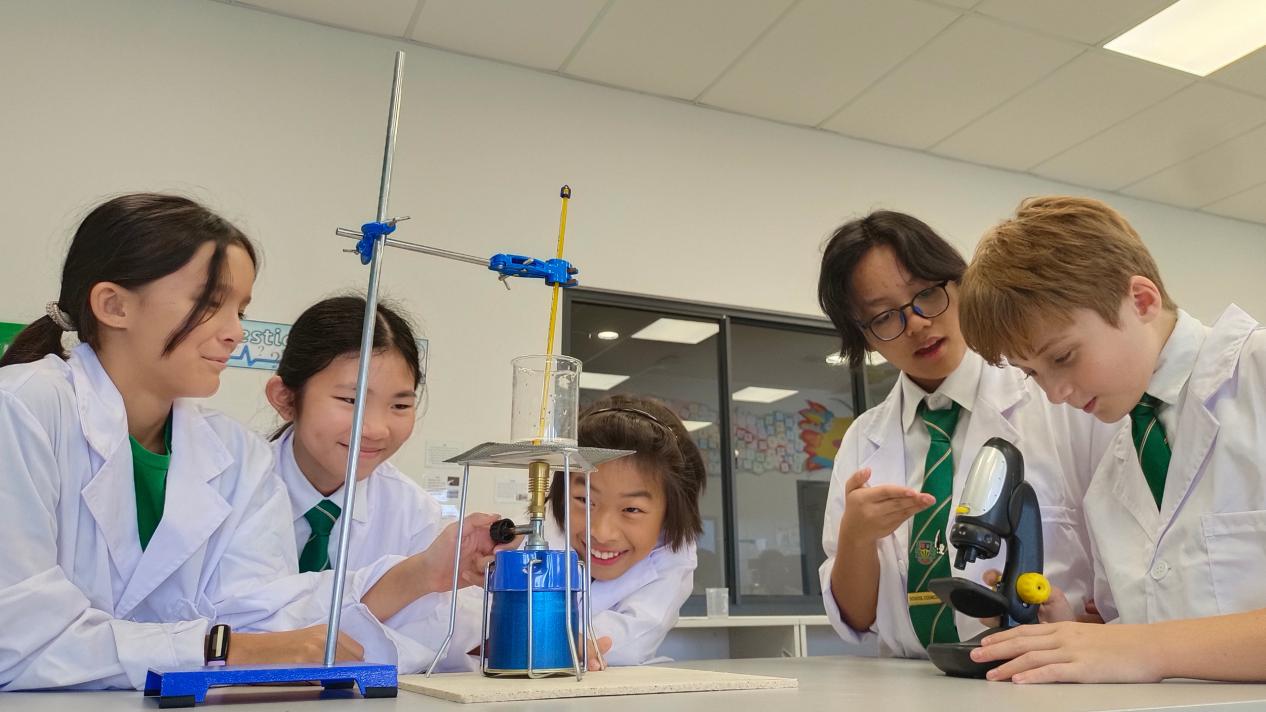 威尔斯王子岛国际学校