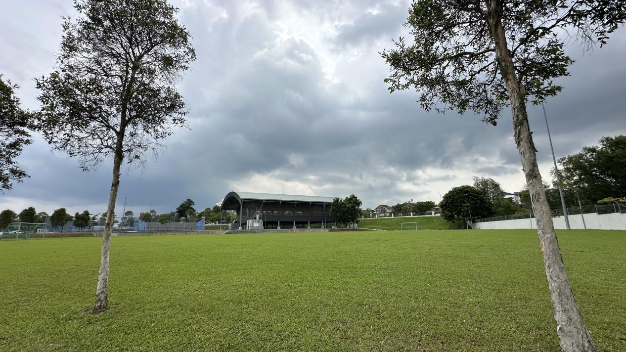 翠林城国际学校